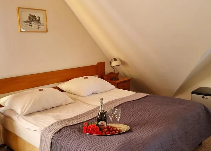 Karkonosze 호텔 카르파츠