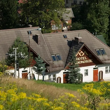 Отель Karkonosze 3*