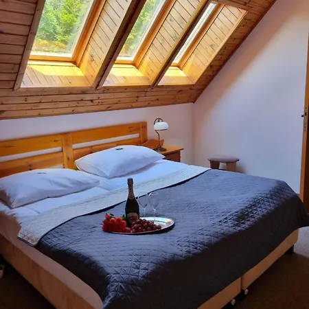 Karkonosze Hotell 3*