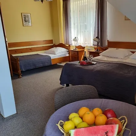 Отель Karkonosze 3*