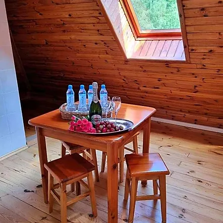 Ξενοδοχείο Karkonosze